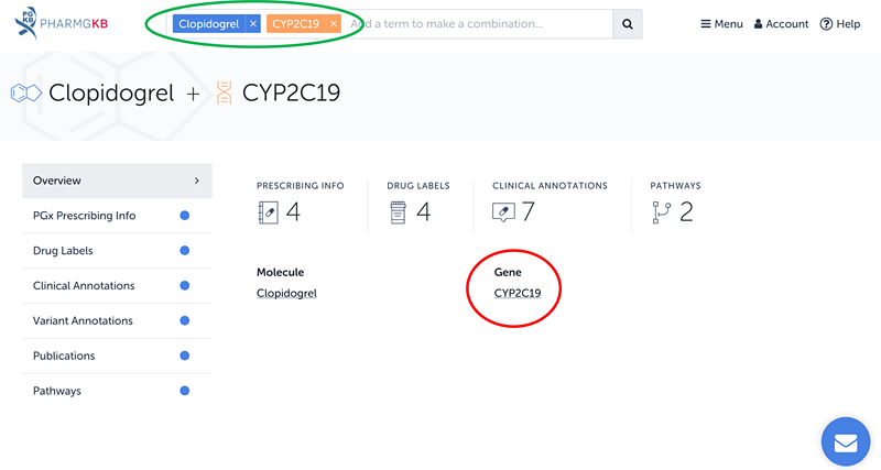 Search results for clopidogrel and the gene CYP2C19