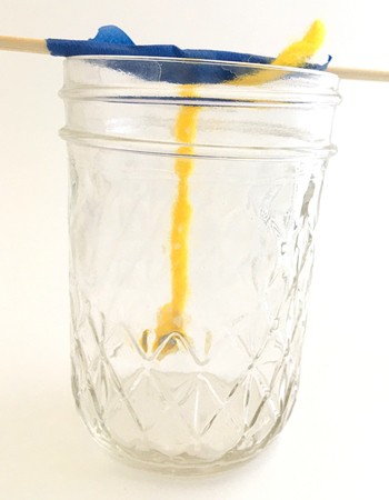 A string hangs down from a skewer resting on the rim of a jar. The string ends a distance from the bottom of the jar. 