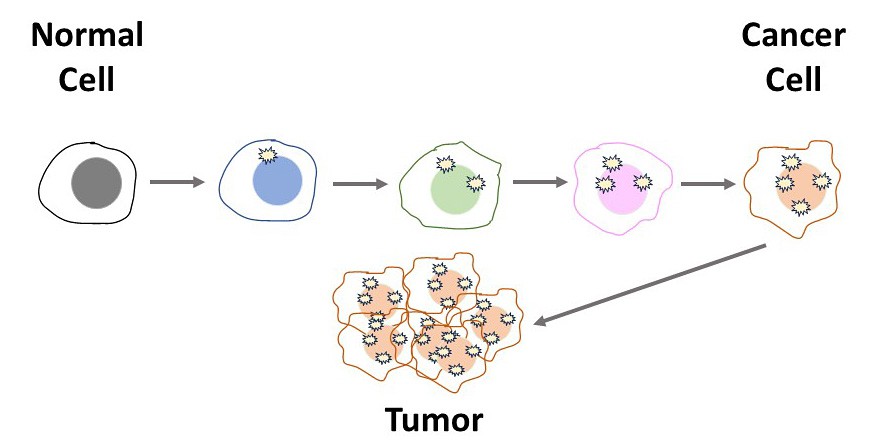cancer disease modeling progression 