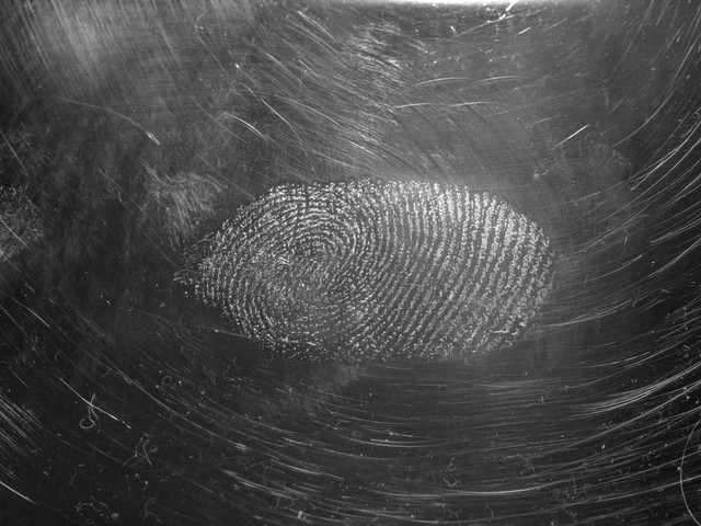 fingerprint