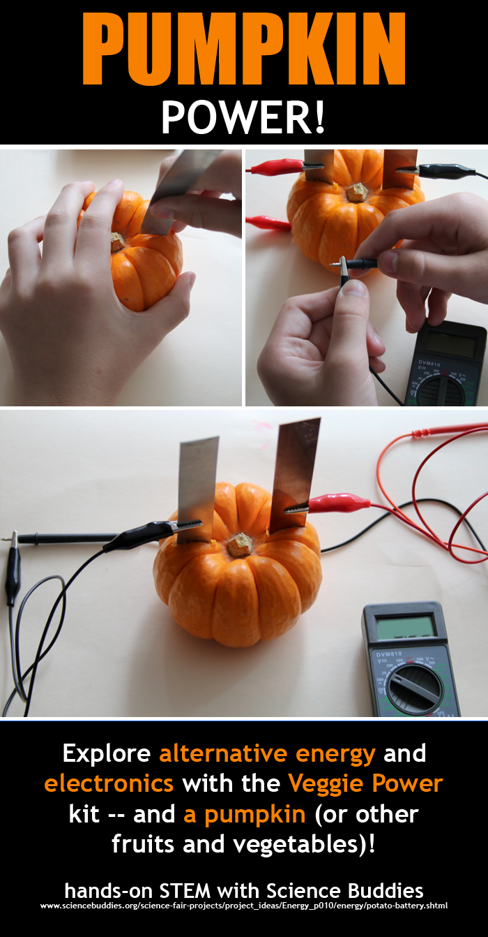 A pumpkin-powered circuit made with a pumpkin, multimeter, a strip of copper and a strip of zinc