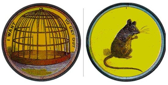 Side-by-side images of an empty cage and a mouse.