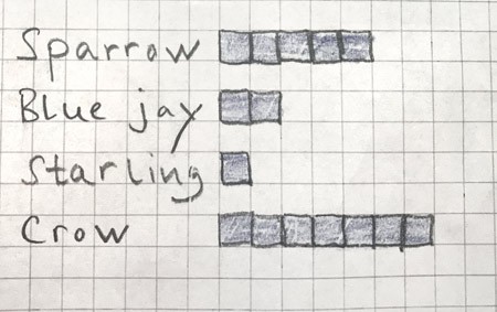 Sparrow, blue jay, starling and crow written on graph paper with filled in squares next to each bird type