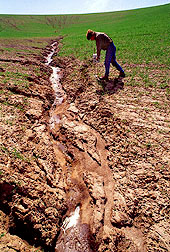 Soil Erosion