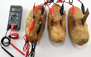 Image result for potato batteries