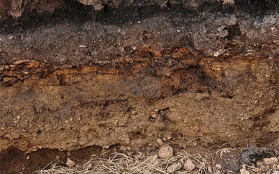 topsoil depth planting xsection wsdot topsoil depth planting xsection wsdot