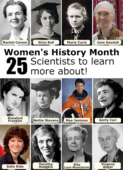 Images of 12 of the 25 women scientists featured with their names indicated