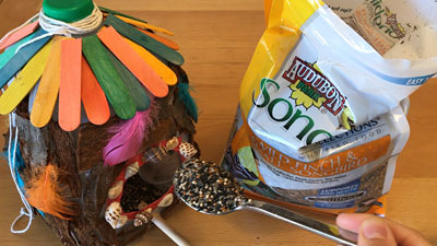 Build A Bird Feeder And Study The Birds In Your Backyard