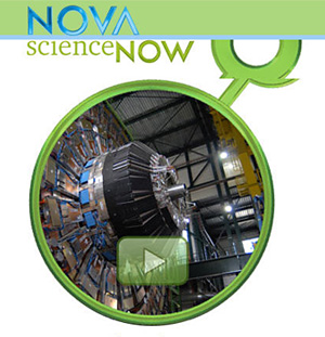 Watch pbs.org NOVA particle physics career video