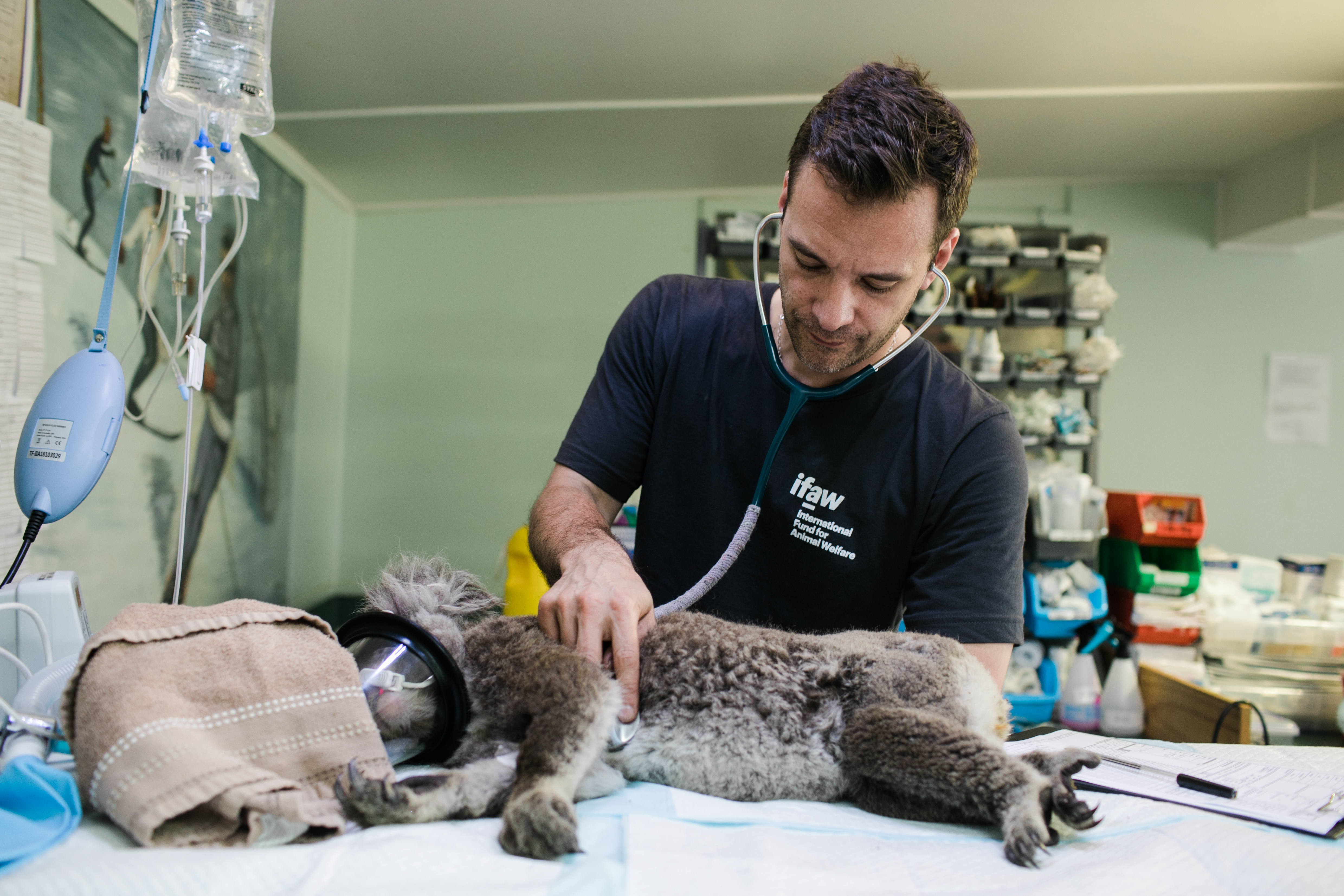 Scientist veterinarian