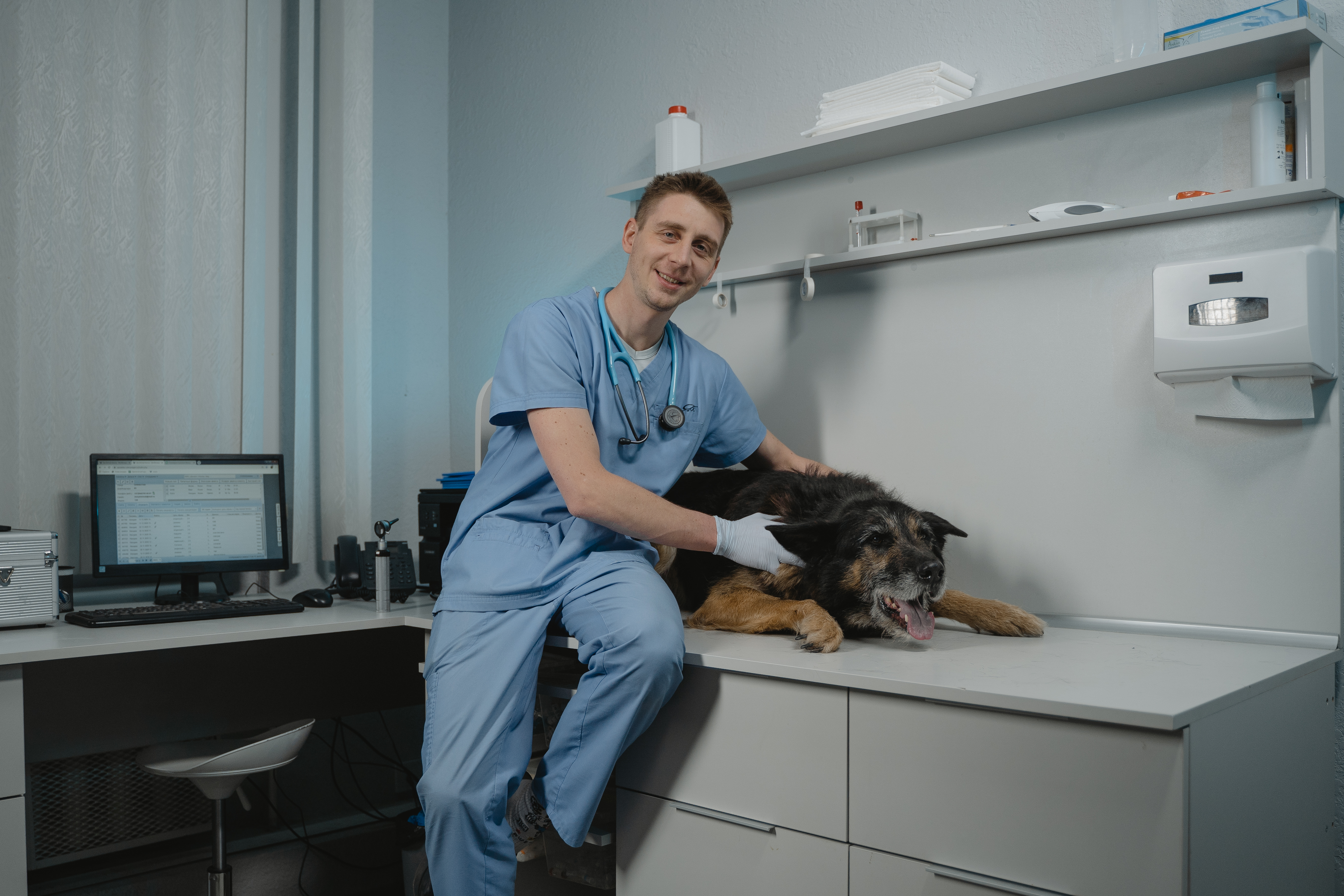 veterinary technician shaving cat for surgery