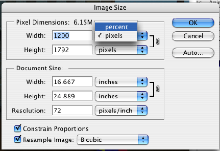 Screenshot of the image size window in the program Photoshop