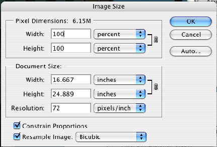 Screenshot of the image size window in the program Photoshop