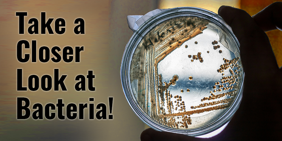 Under the Microscope with STEM Projects and Kits