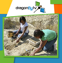 Watch DragonflyTV dinosaurs video