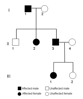 Pedigree Chart For Hair Color