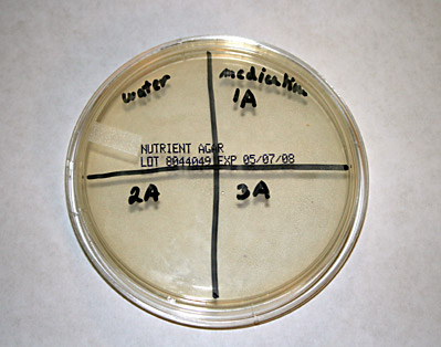 MicroBiology Science Project agar plate with quadrants labeled