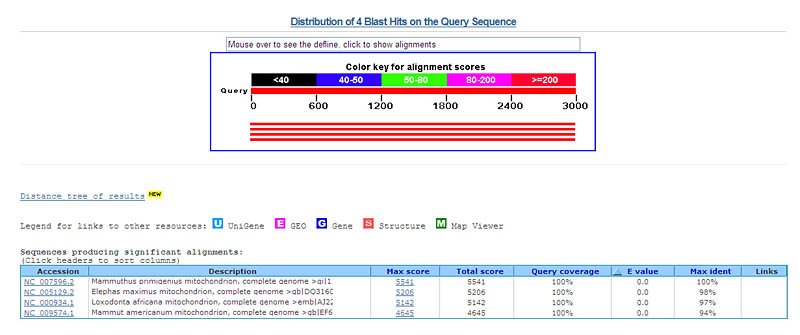 codoncode aligner blast search not opening codoncode aligner blast search not opening