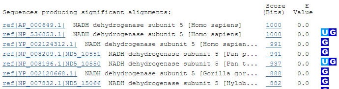 On the NCBI website the BLAST query returns a list of proteins in the database that match the queried protein