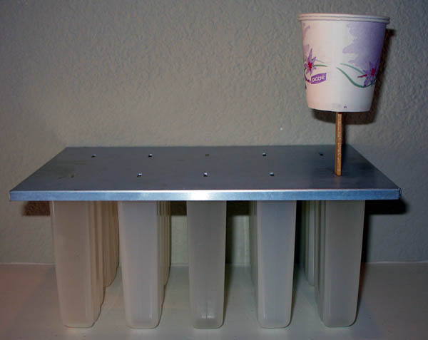 This photo shows a Popsicle stick with two paper cups attached sticking out of a popsicle mold.