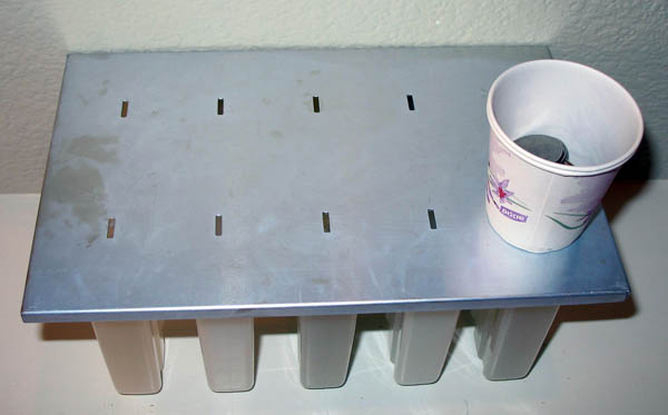 This photo shows a paper cup resting on the lid over a gelatin mold and several quarters are inside the paper cup.