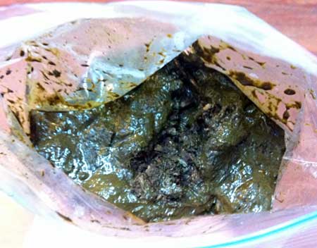 Photograph of fresh manure.
Energy science project