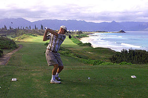A golfer gets ready to drive the golf ball. (Wikipedia, 2005)