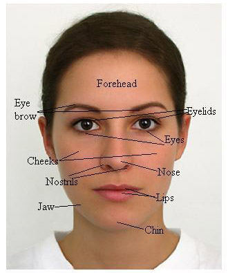 It's Written All Over Your Face: The Science of Facial Expressions