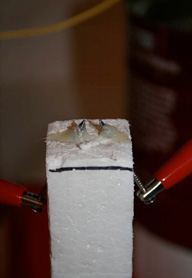 Electricity
science project <B>Figure 7.</B> Close-up of nails in Styrofoam.
(Courtesy of Braeden Benedict, 2010.)