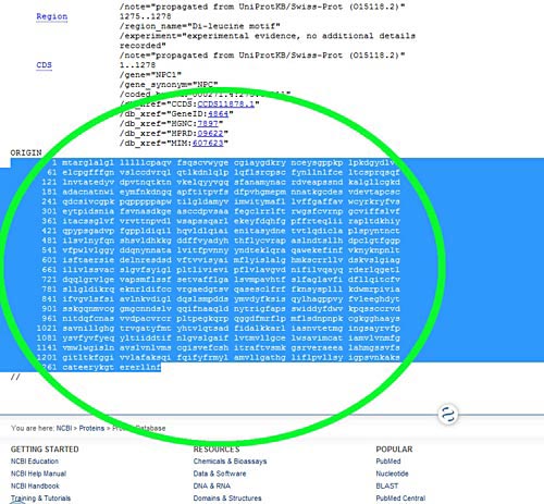 On the NCBI Protein page for a given protein, the amino acid sequence can be found at the bottom of the page.
Medical Biotechnology science project