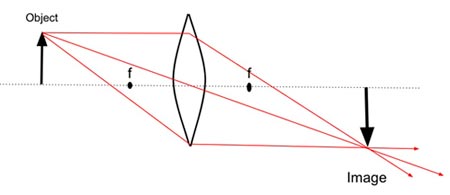 A diagram of how convex lens bends light
