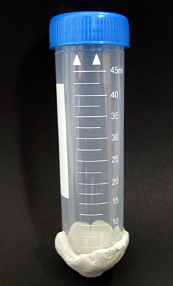 Picture of putty molded onto a centrifuge tube.
Biotechnology science project