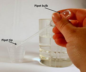 How to use a transfer pipet
Biochemistry science project