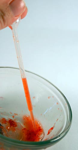 Strawberry cell sample in transfer pipet for DNA extraction
Biochemistry science project