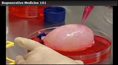 Video of Biomedical Regeneration screenshot