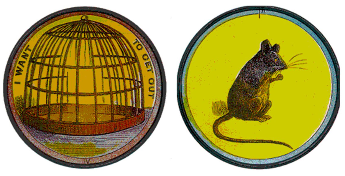Thaumatrope of mouse in a cage.