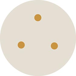 Microbiology science project Diagram showing placement of circles on an agar plate in Kirby-Bauer test.