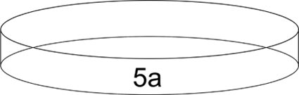 Medical Biotechnology science project Diagram of an empty, labeled petri dish.