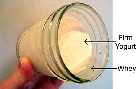 Microbiology science project Photo of a jar with a firm yogurt culture and whey.