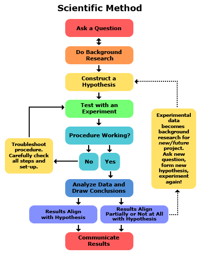 Scientific Method Chart Of Steps