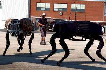 boston dynamics big dog robot