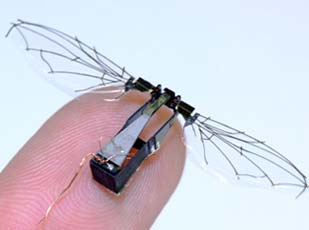 Harvard robobee on a fingertip