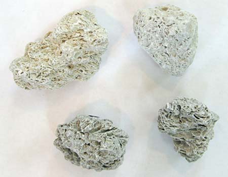 Picture of four limestone rocks, varying in size.