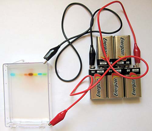 gel electrophoresis setup