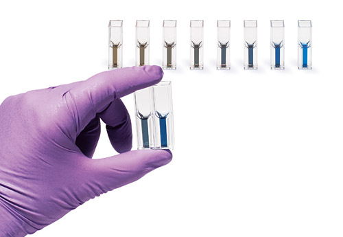 Samples in cuvettes to use in a spectrophotometer.