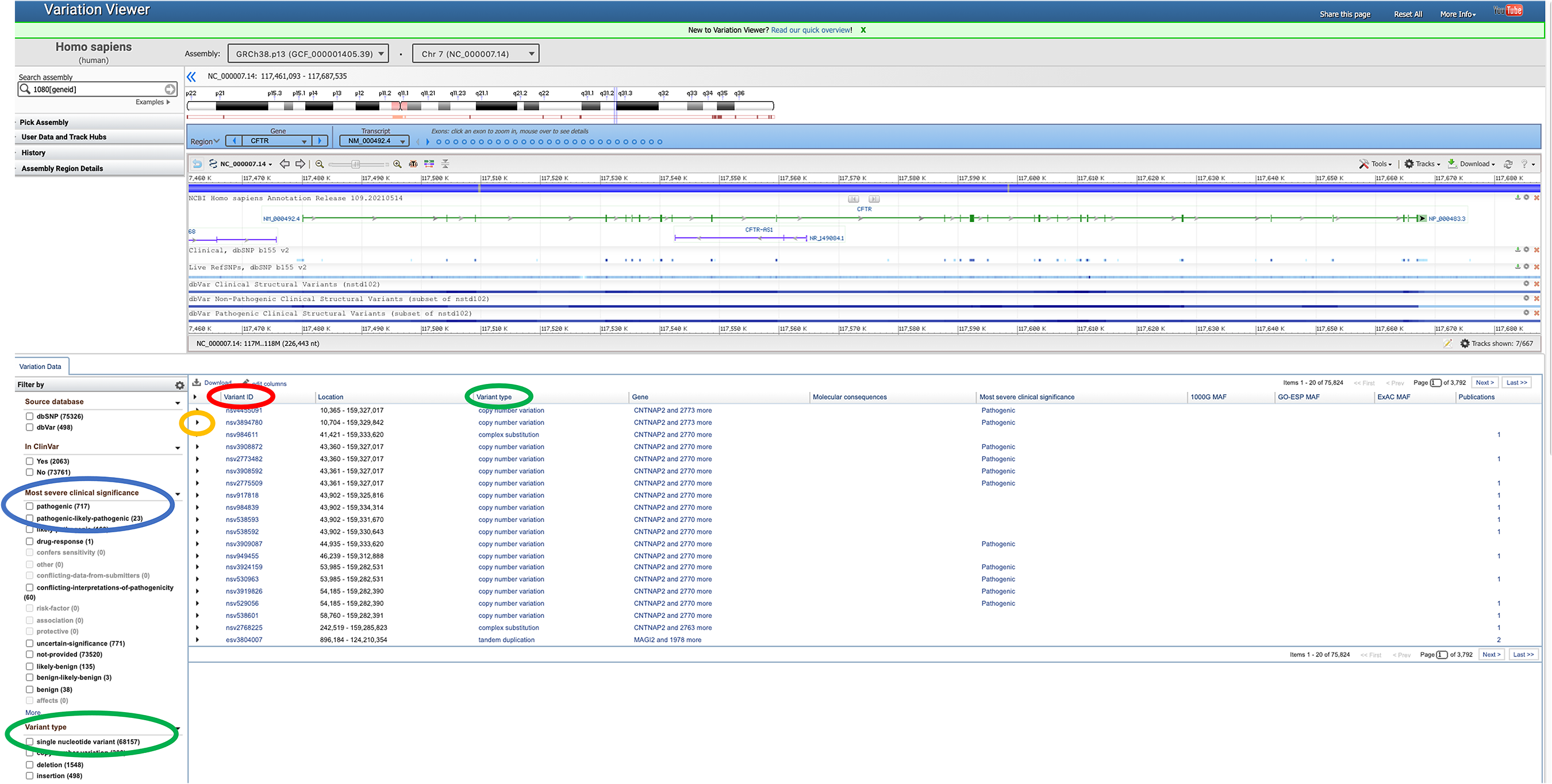 Screenshot of the SNP variations for the CFTR gene in the NCBI SNP database