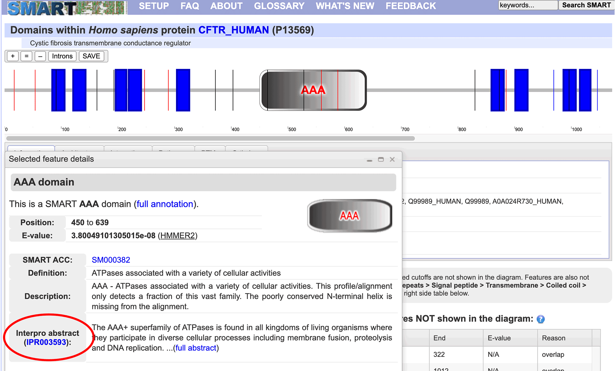 Screenshot of the protein sequence results page on the website smart.embl-heidelberg.de