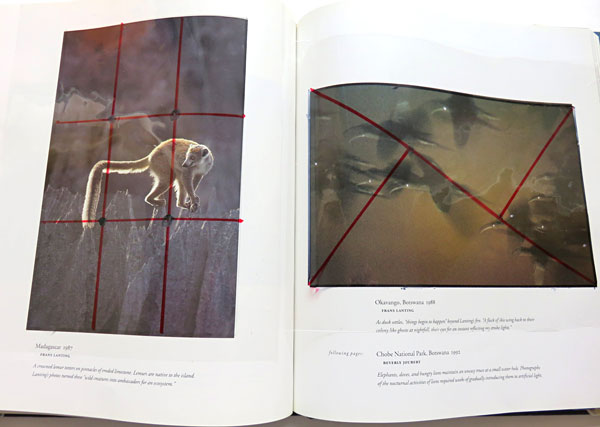 Testing the Rule of Thirds and Golden Mean on photos from a photo book.