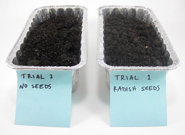 Soil erosion trials labeled