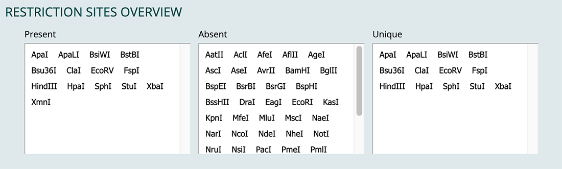 Screenshot of the